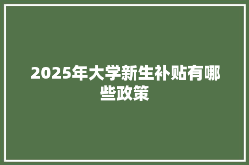2025年大学新生补贴有哪些政策 商业计划书范文