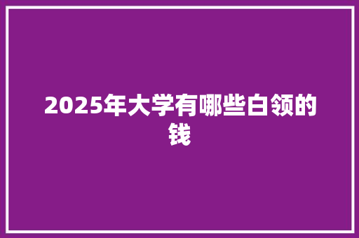 2025年大学有哪些白领的钱 应用文范文