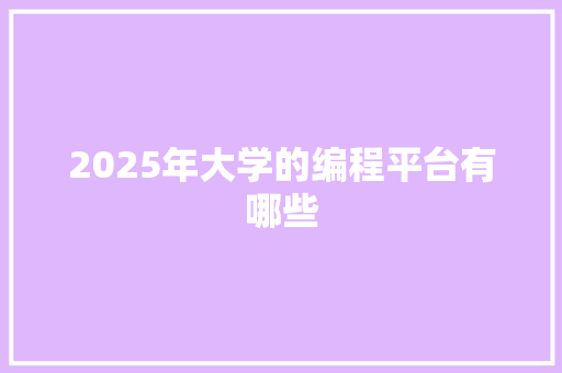 2025年大学的编程平台有哪些 说明文范文