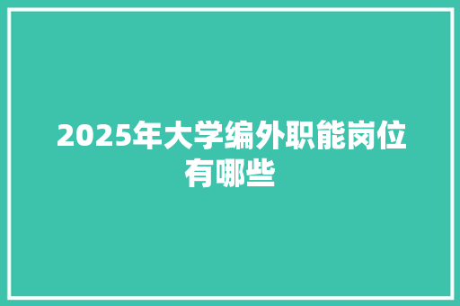 2025年大学编外职能岗位有哪些