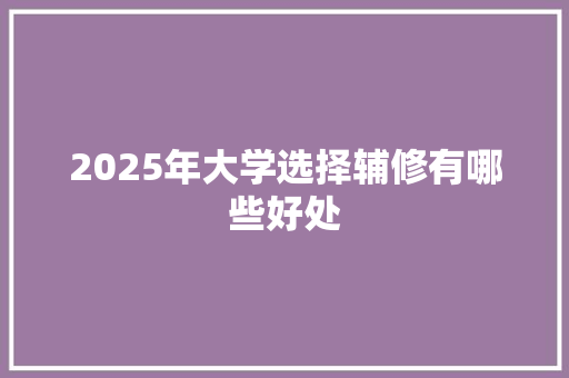 2025年大学选择辅修有哪些好处