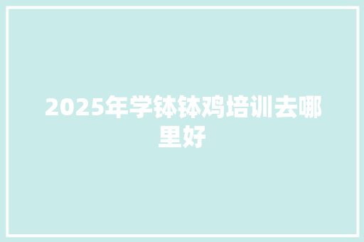 2025年学钵钵鸡培训去哪里好