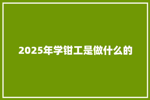 2025年学钳工是做什么的