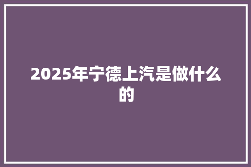 2025年宁德上汽是做什么的