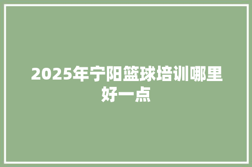 2025年宁阳篮球培训哪里好一点 诗歌范文