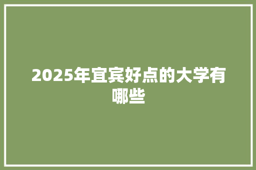 2025年宜宾好点的大学有哪些