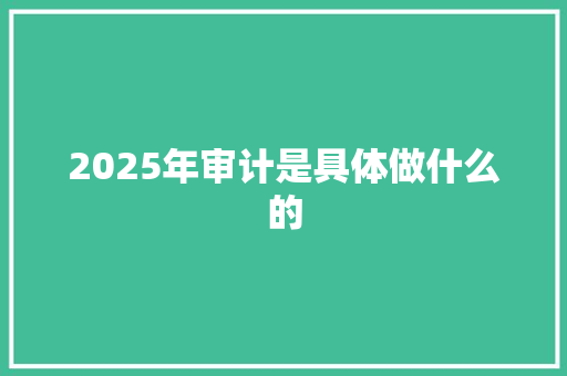 2025年审计是具体做什么的