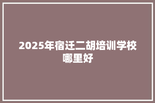 2025年宿迁二胡培训学校哪里好