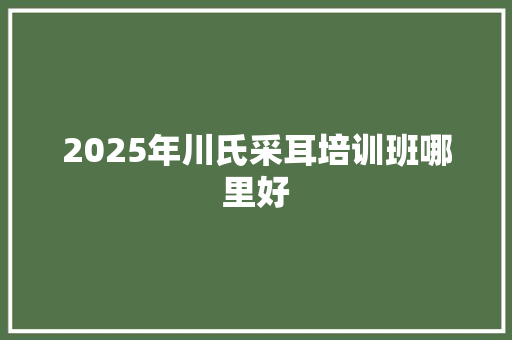 2025年川氏采耳培训班哪里好