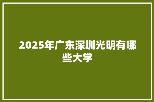 2025年广东深圳光明有哪些大学