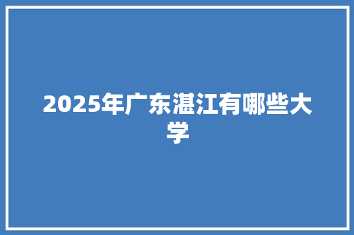 2025年广东湛江有哪些大学