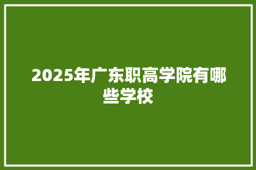 2025年广东职高学院有哪些学校