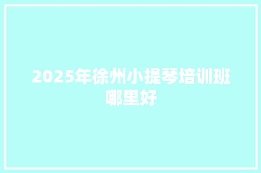 2025年徐州小提琴培训班哪里好