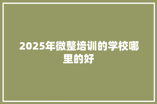 2025年微整培训的学校哪里的好