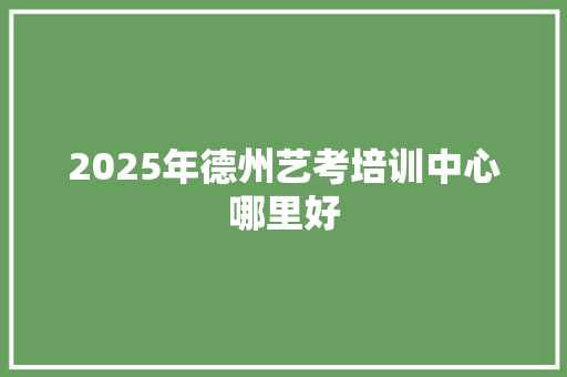 2025年德州艺考培训中心哪里好