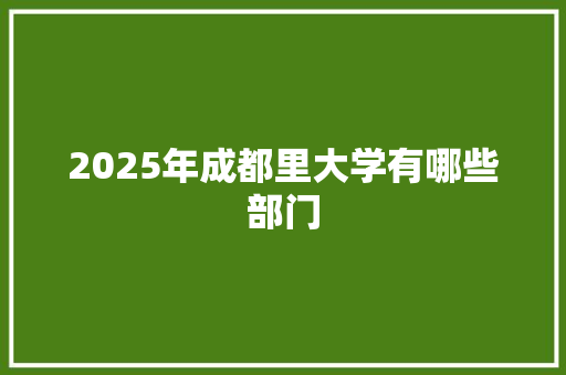 2025年成都里大学有哪些部门