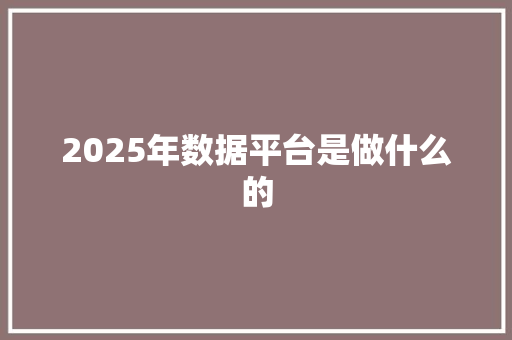 2025年数据平台是做什么的