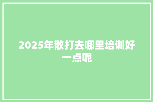 2025年散打去哪里培训好一点呢