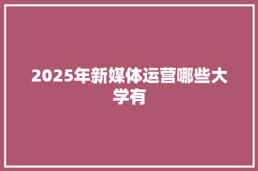 2025年新媒体运营哪些大学有