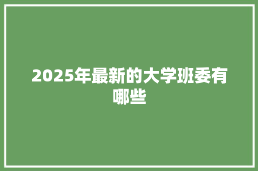 2025年最新的大学班委有哪些