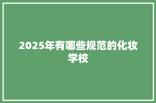 2025年有哪些规范的化妆学校