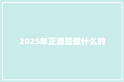 2025年正源是做什么的