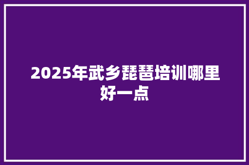 2025年武乡琵琶培训哪里好一点