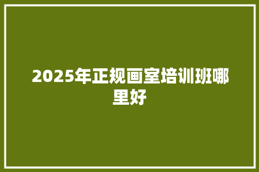 2025年正规画室培训班哪里好