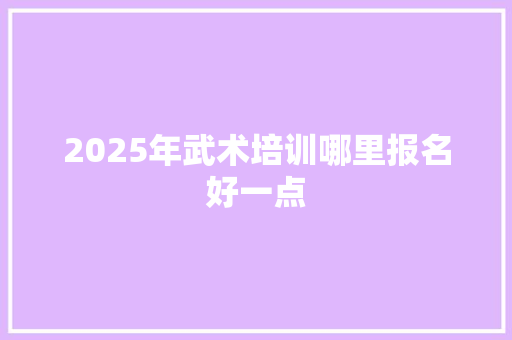 2025年武术培训哪里报名好一点