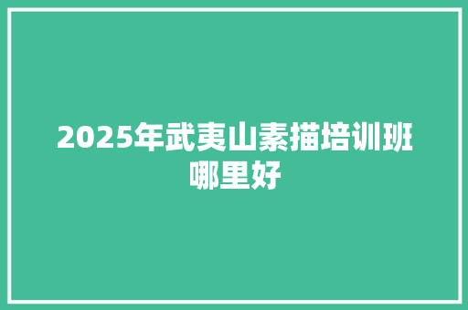 2025年武夷山素描培训班哪里好