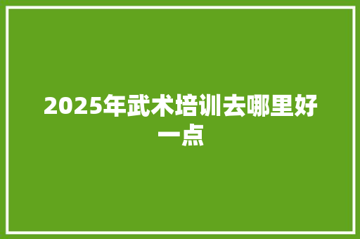 2025年武术培训去哪里好一点