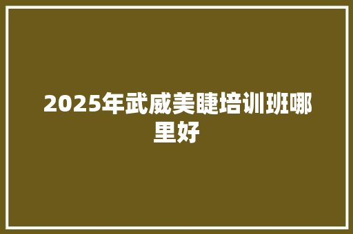 2025年武威美睫培训班哪里好
