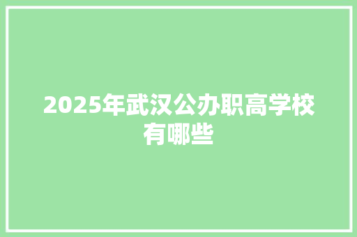 2025年武汉公办职高学校有哪些