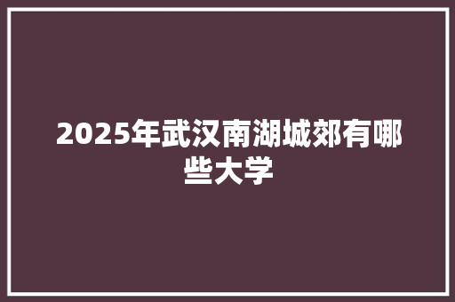 2025年武汉南湖城郊有哪些大学