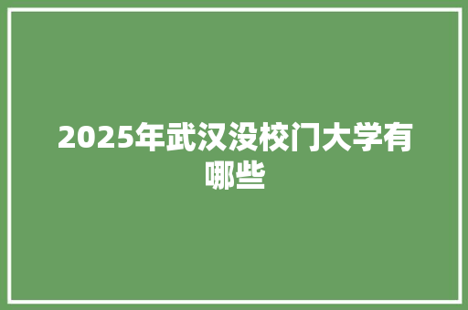 2025年武汉没校门大学有哪些