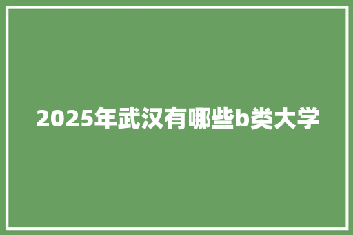 2025年武汉有哪些b类大学