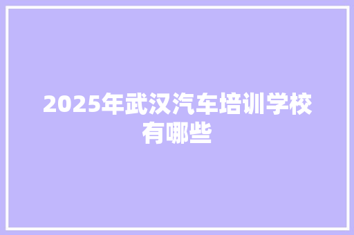 2025年武汉汽车培训学校有哪些