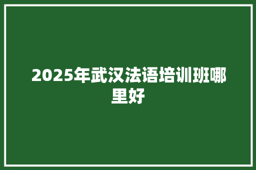 2025年武汉法语培训班哪里好