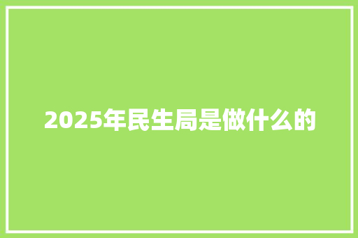 2025年民生局是做什么的