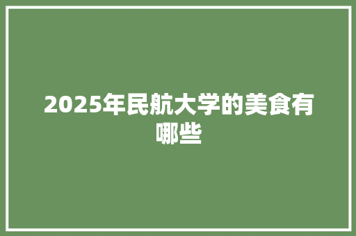 2025年民航大学的美食有哪些