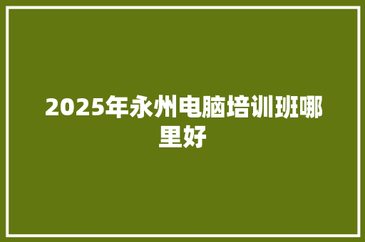 2025年永州电脑培训班哪里好