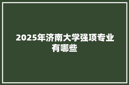 2025年济南大学强项专业有哪些