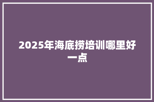 2025年海底捞培训哪里好一点 演讲稿范文