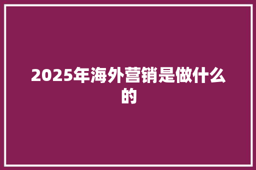 2025年海外营销是做什么的