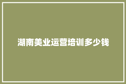 湖南美业运营培训多少钱