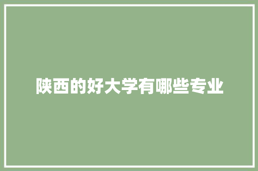 陕西的好大学有哪些专业