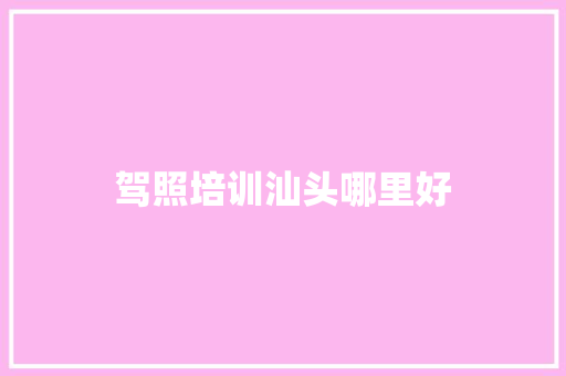 驾照培训汕头哪里好