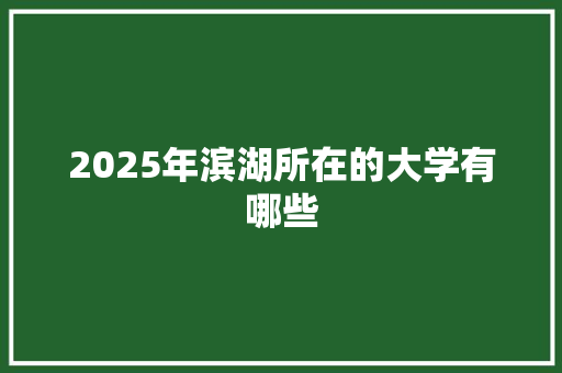 2025年滨湖所在的大学有哪些