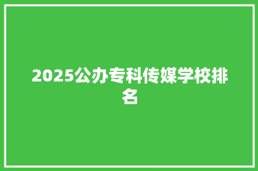 2025公办专科传媒学校排名