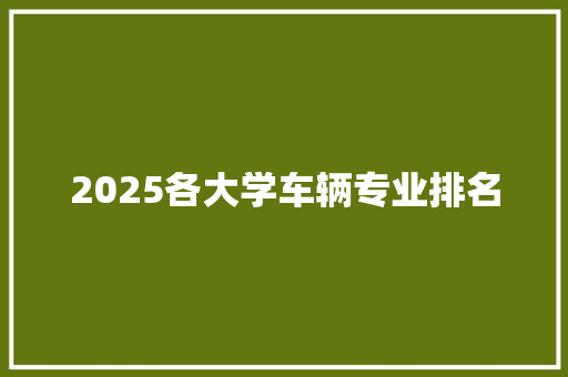 2025各大学车辆专业排名